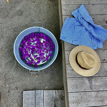 Retreat & Glamping Terre Di Sacra In Toscana